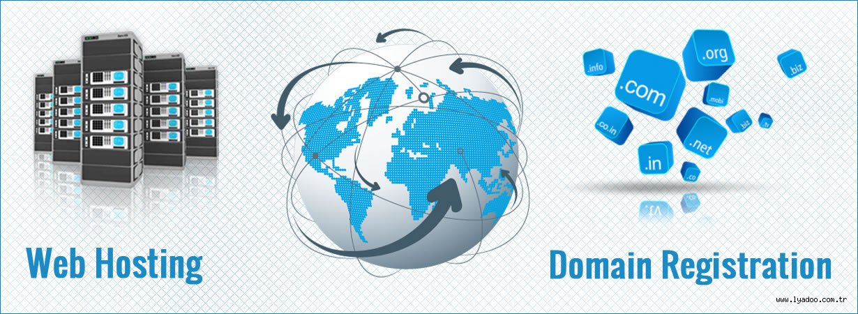 Domain Hosting Hizmeti