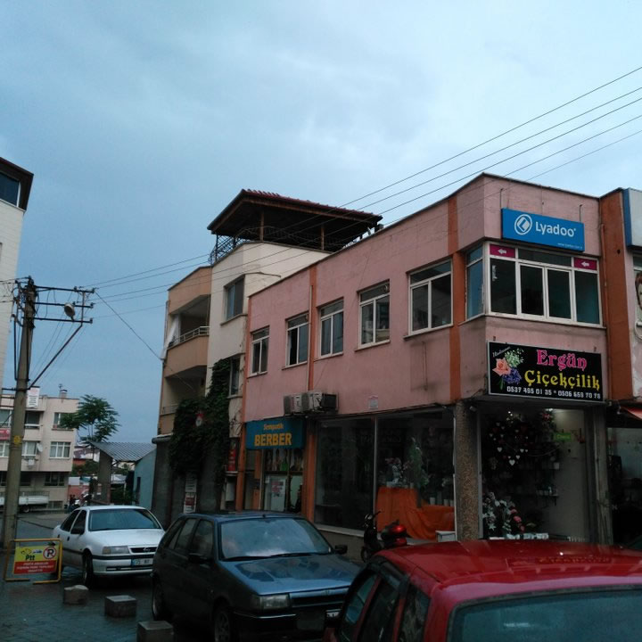 IMG-OUR